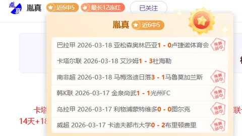 斯图加特核心复出在望，多特队长重伤缺阵